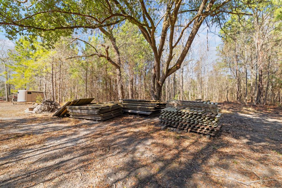 Natural landscape and outdoor views near  in Cottageville (Image 52).
