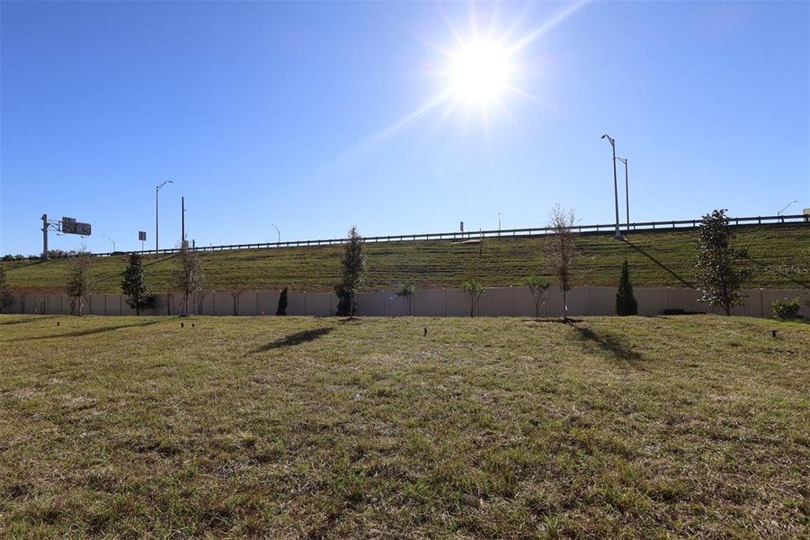 Natural landscape and outdoor views near Emerson Pointe in Apopka (Image 45).
