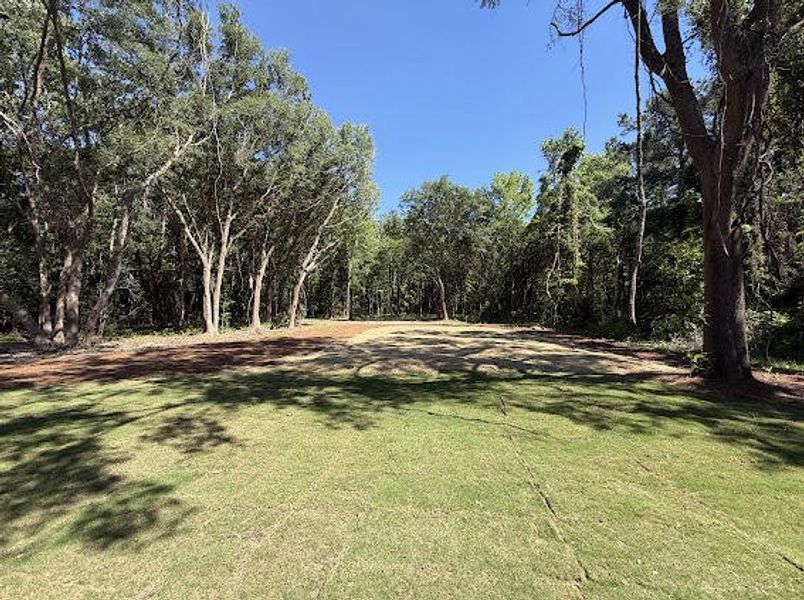 Natural landscape and outdoor views near in McClellanville (Image 19). Natural landscape and outdoor views near in McClellanville (Image 19).