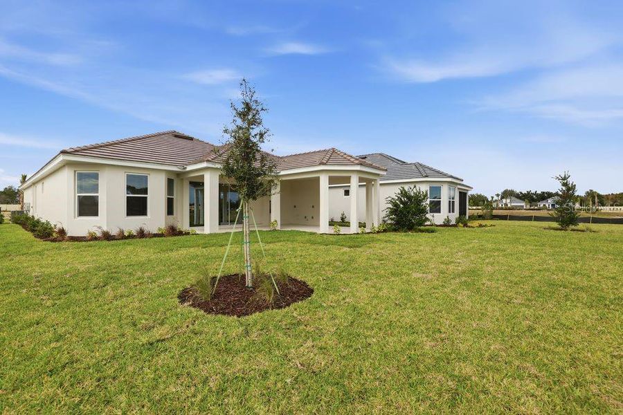 Exterior details and patio area of a home in Esplanade at Wiregrass Ranch, Wesley Chapel (Image 27).