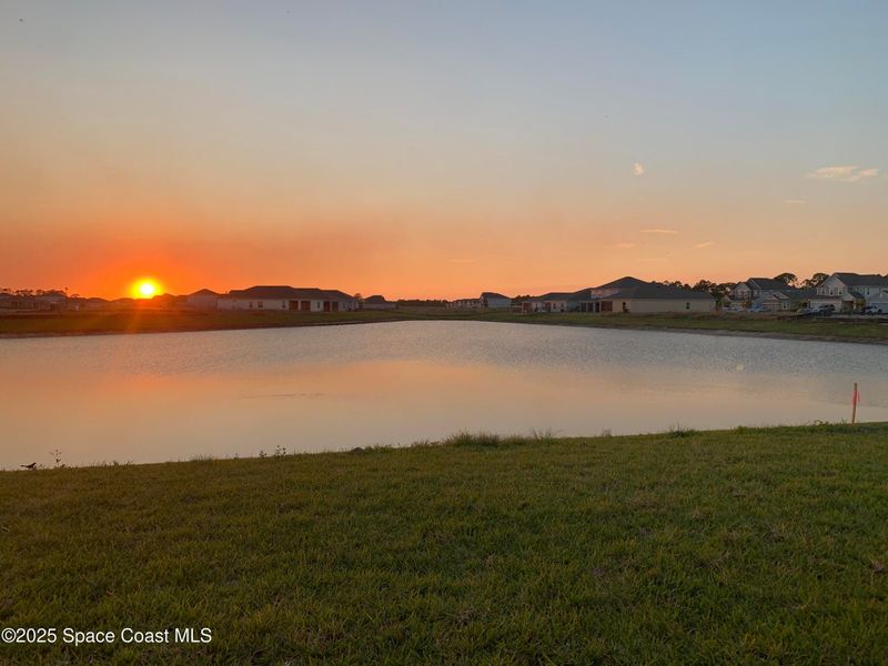 Natural landscape and outdoor views near St. John Preserve in Palm Bay (Image 18). Natural landscape and outdoor views near St. John Preserve in Palm Bay (Image 18).