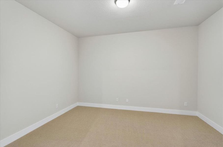 Entertainment Room