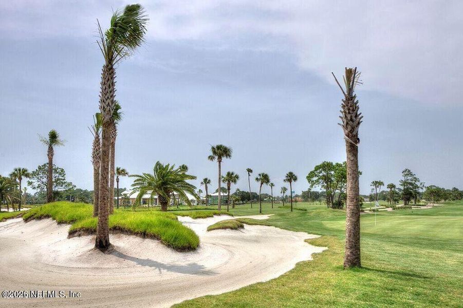 Natural landscape and outdoor views near in Atlantic Beach (Image 70). Natural landscape and outdoor views near in Atlantic Beach (Image 70).