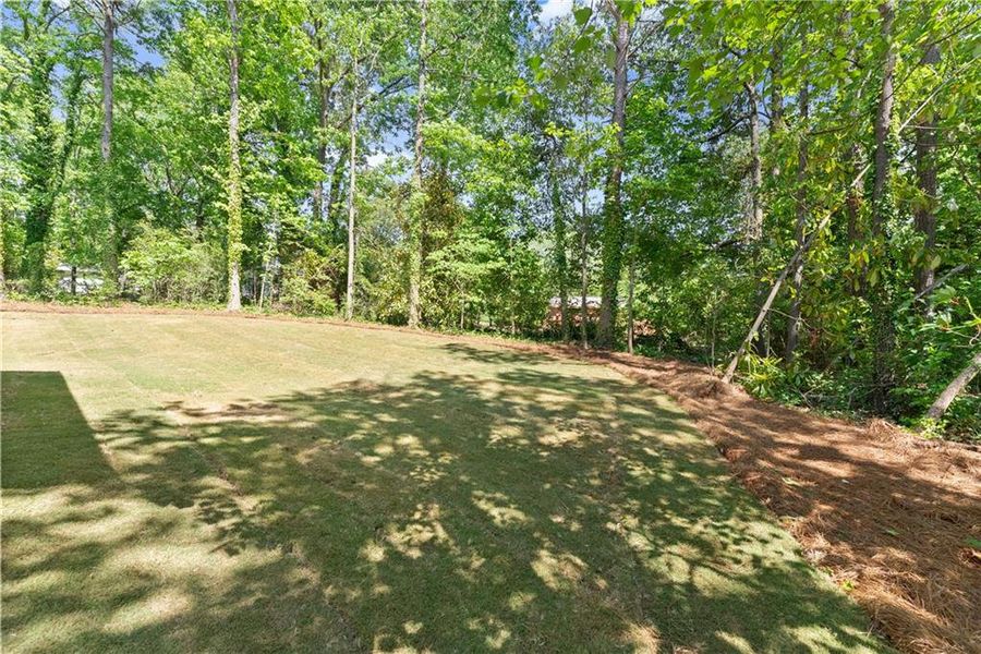 Natural landscape and outdoor views near  in Flowery Branch (Image 40).