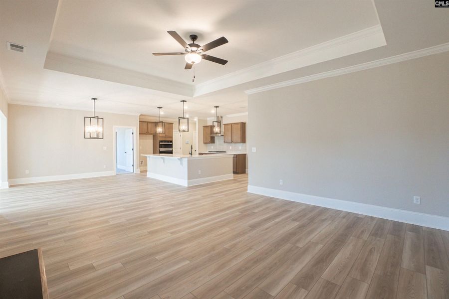 Spacious, unfurnished interior of a new home in The Cove, Sumter (Image 27). Spacious, unfurnished interior of a new home in The Cove, Sumter (Image 27).