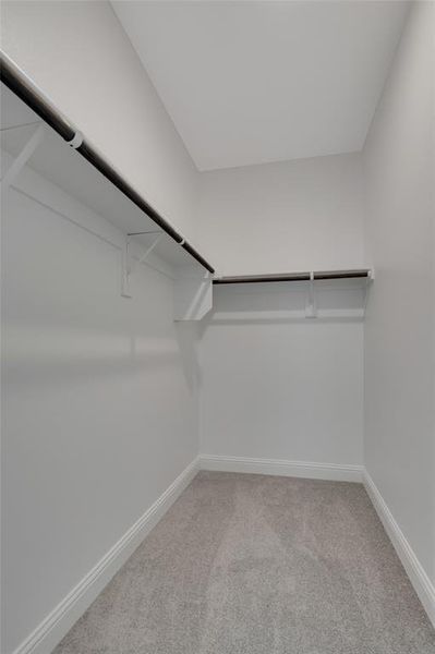 Walk in closet featuring carpet