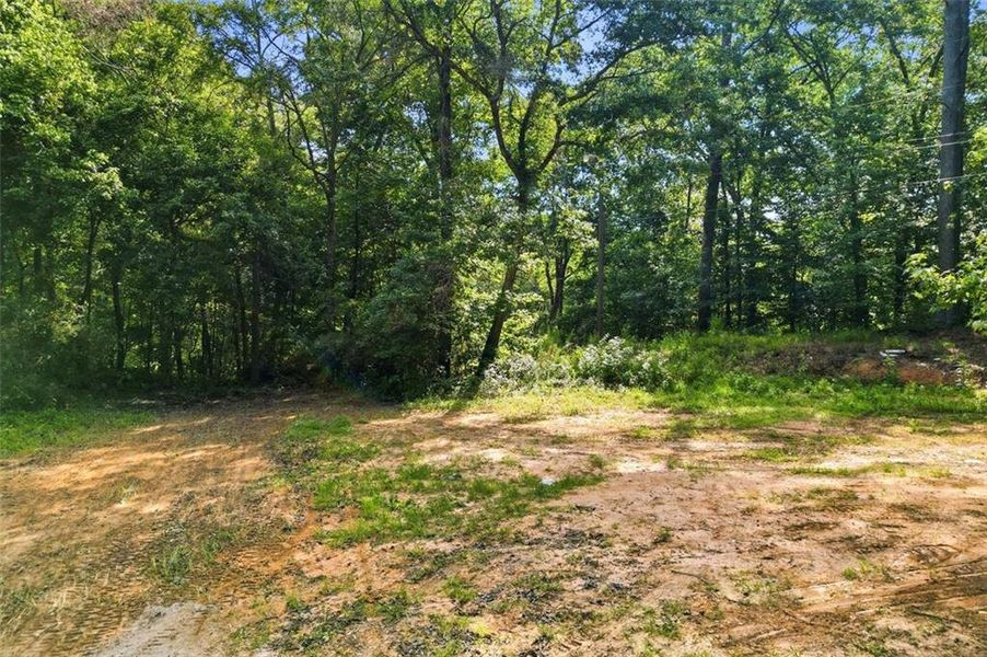 Natural landscape and outdoor views near  in Conyers (Image 21).