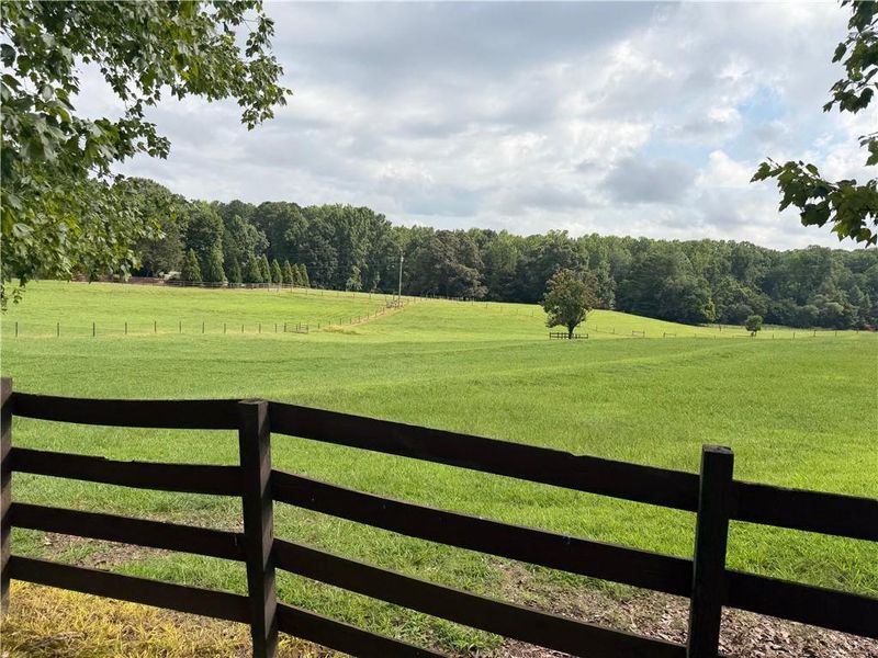 Natural landscape and outdoor views near  in Dacula (Image 64).