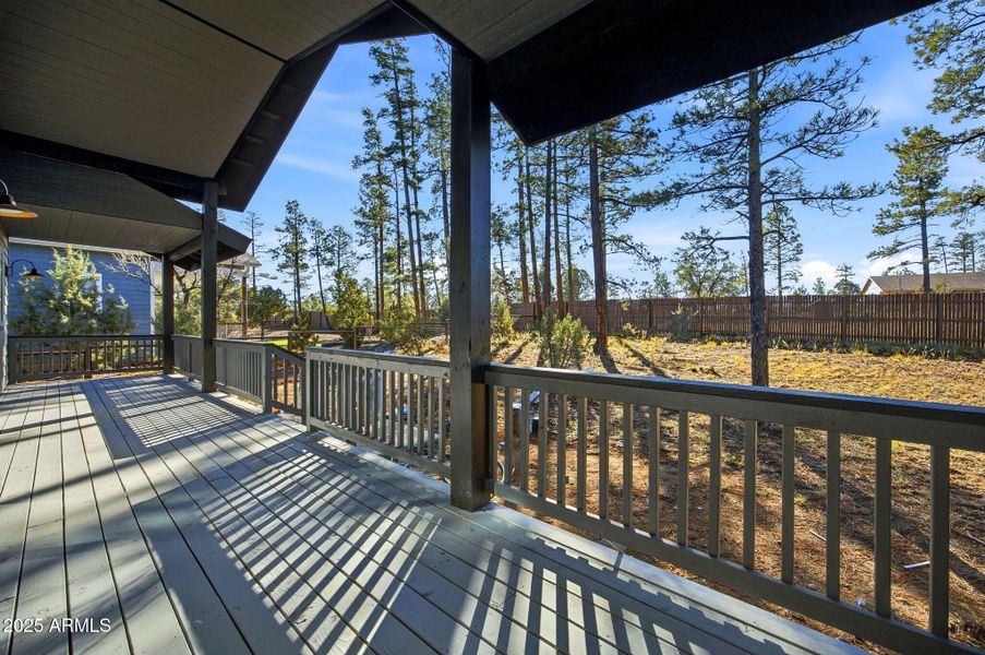 Back covered deck with trex deck Back covered deck with trex deck