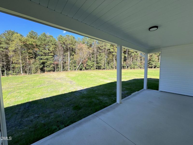 IMG_5221 2 IMG_5221 2