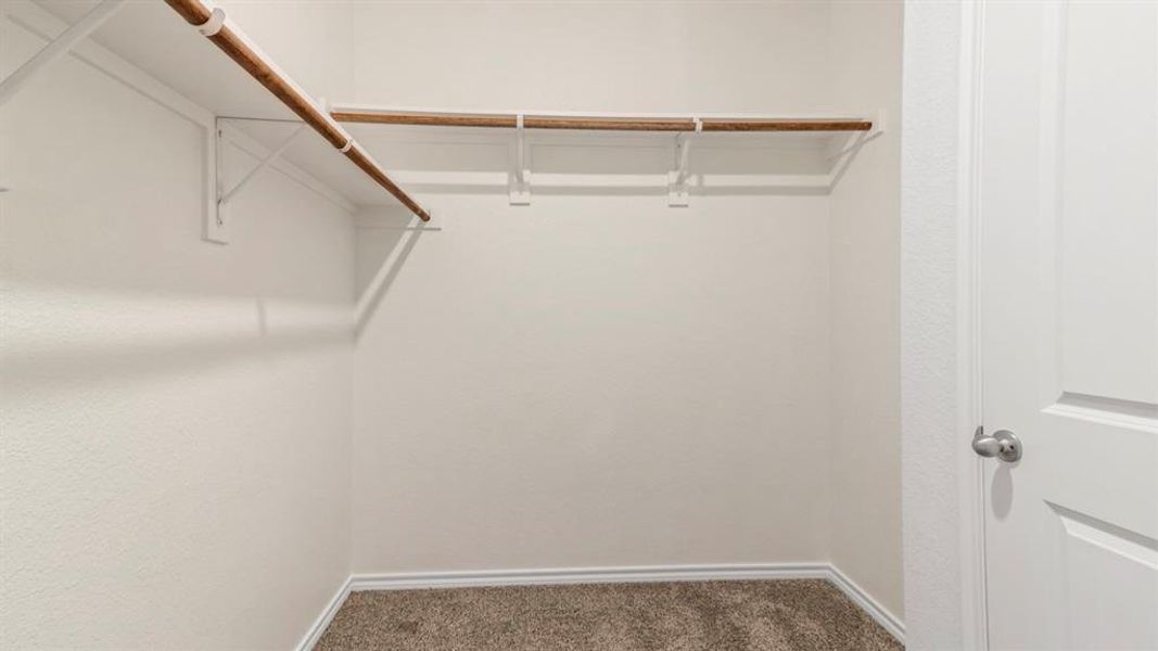 Walk-in closet featuring light-toned walls, two levels of hanging rods, and a neutral-toned carpeted floor