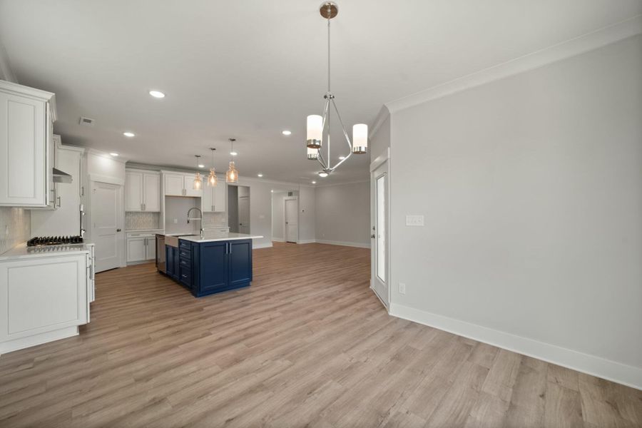 Spacious, unfurnished interior of a new home in Redland, Advance (Image 32).