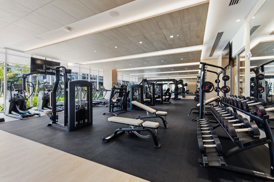 Nautilus_220_023 Nautilus_220_023