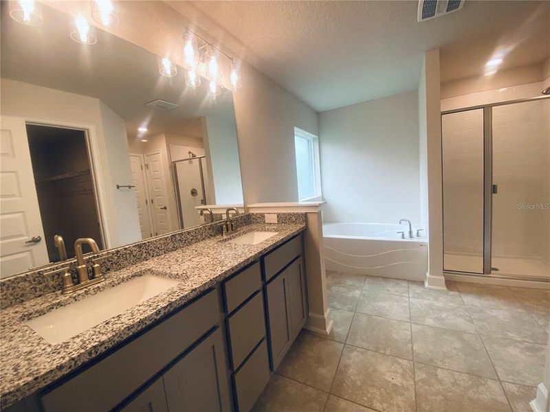 Furnished interior view inside a new home in , Harmony (Image 6). Furnished interior view inside a new home in , Harmony (Image 6).