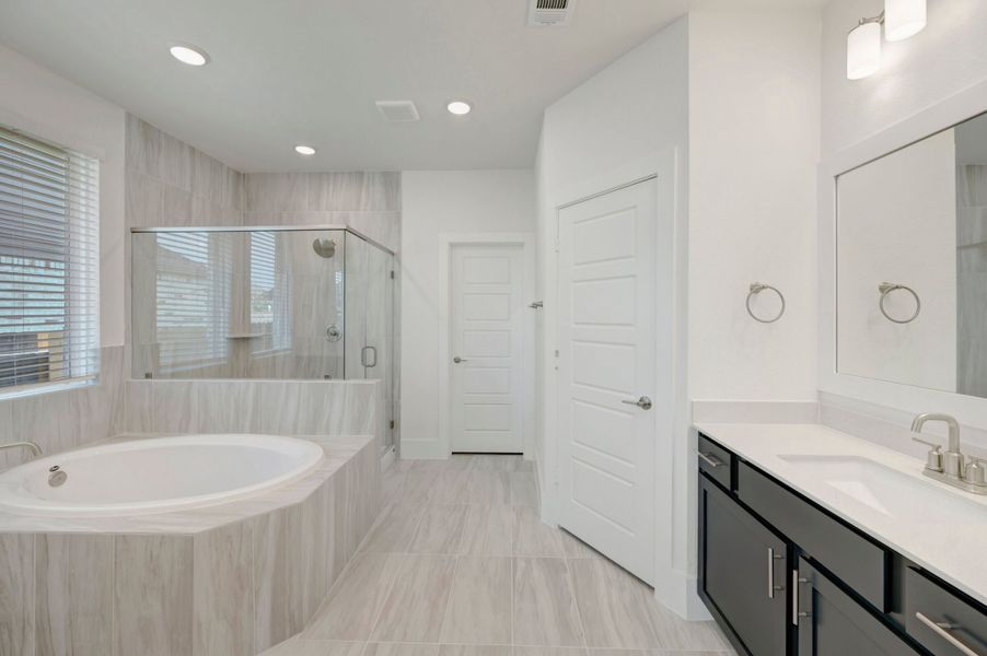 Owner's Bathroom