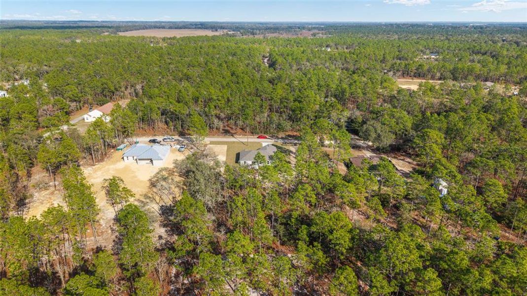 Natural landscape and outdoor views near in Ocala (Image 52). Natural landscape and outdoor views near in Ocala (Image 52).