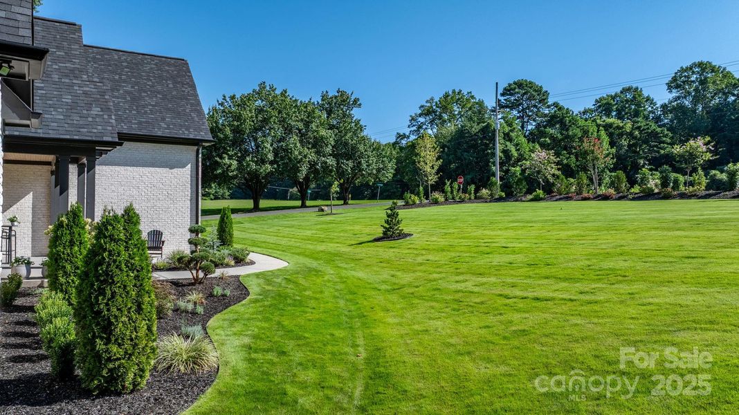 Natural landscape and outdoor views near  in Terrell (Image 28).