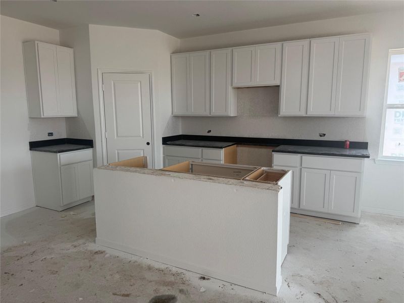 627 Yaupon Holly Drive ~ Under Construction