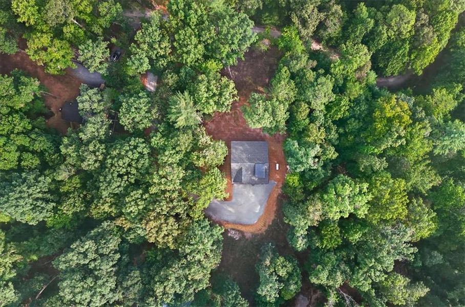Natural landscape and outdoor views near  in Ellijay (Image 43).