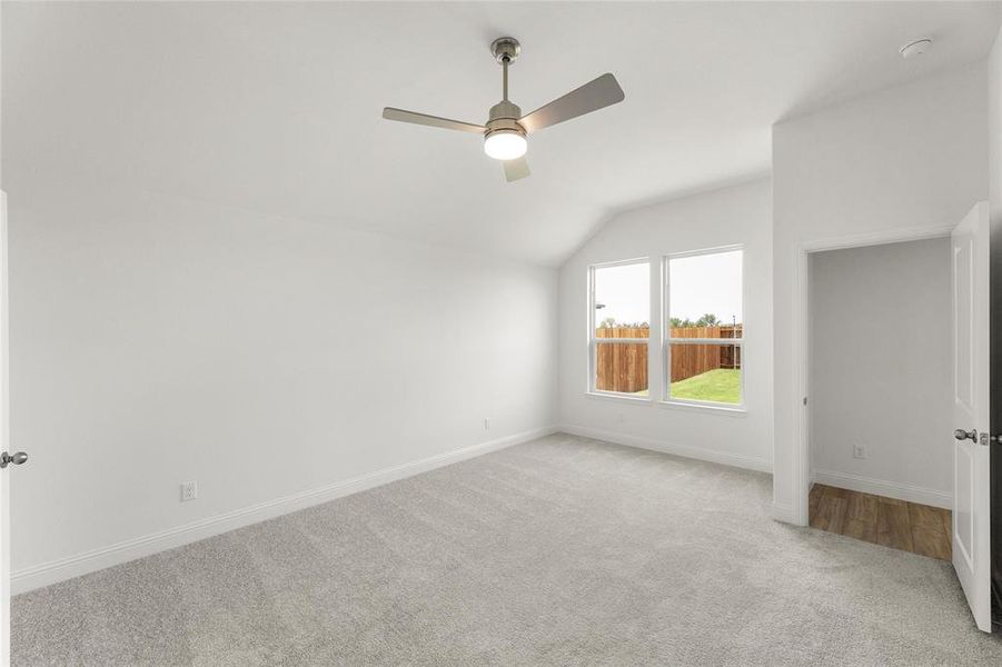 09_Grapevine_Representative Photo 09_Grapevine_Representative Photo