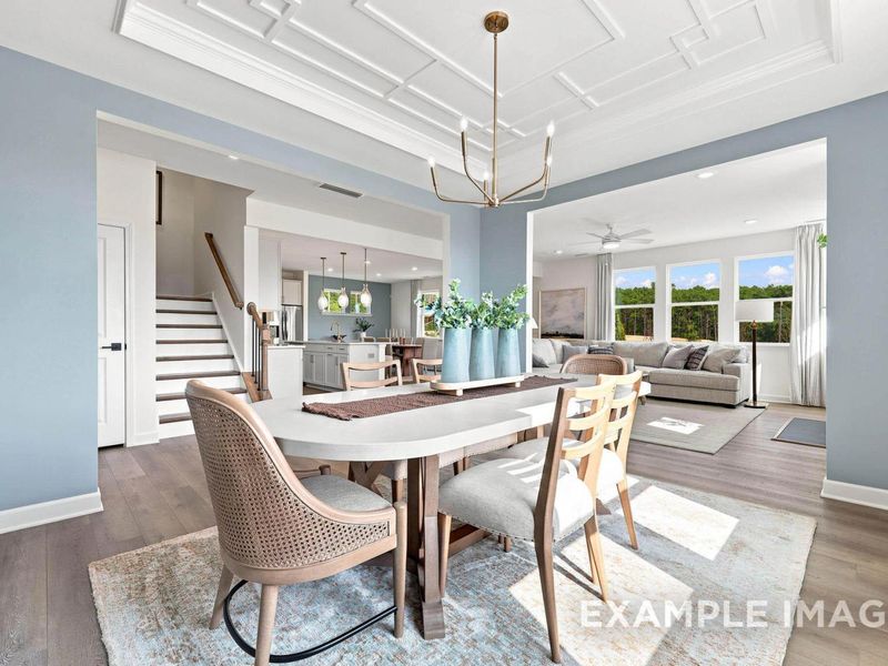 Furnished interior view inside a new home in Montrose, Aberdeen (Image 18).