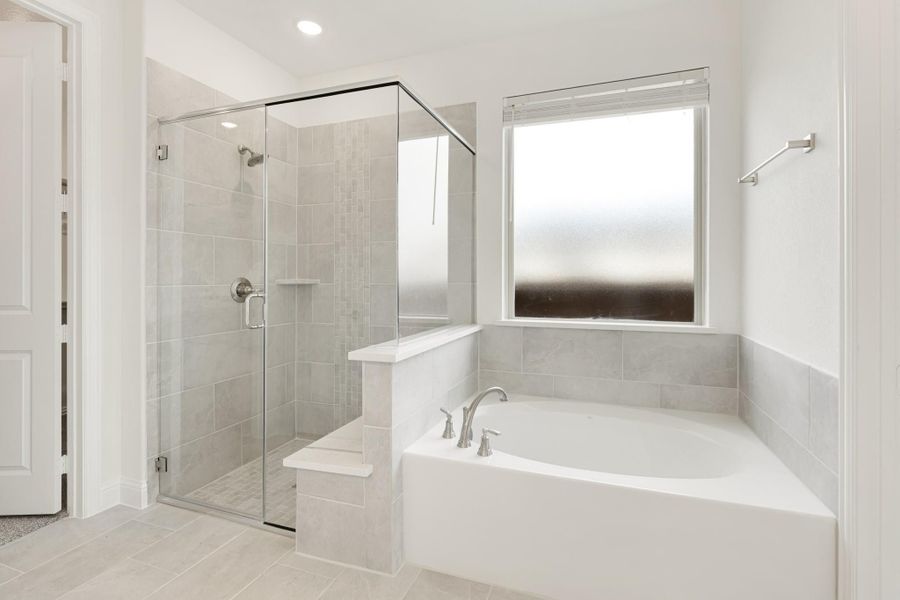 Bathroom with glass-enclosed tile shower and soaking tub with chrome fixtures