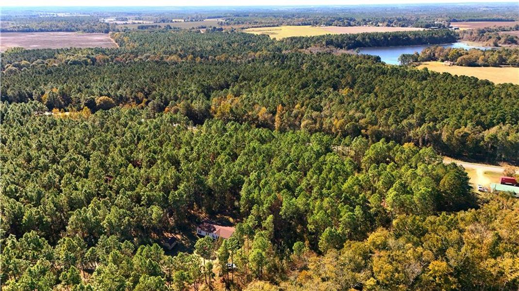 Natural landscape and outdoor views near  in Chester (Image 25).