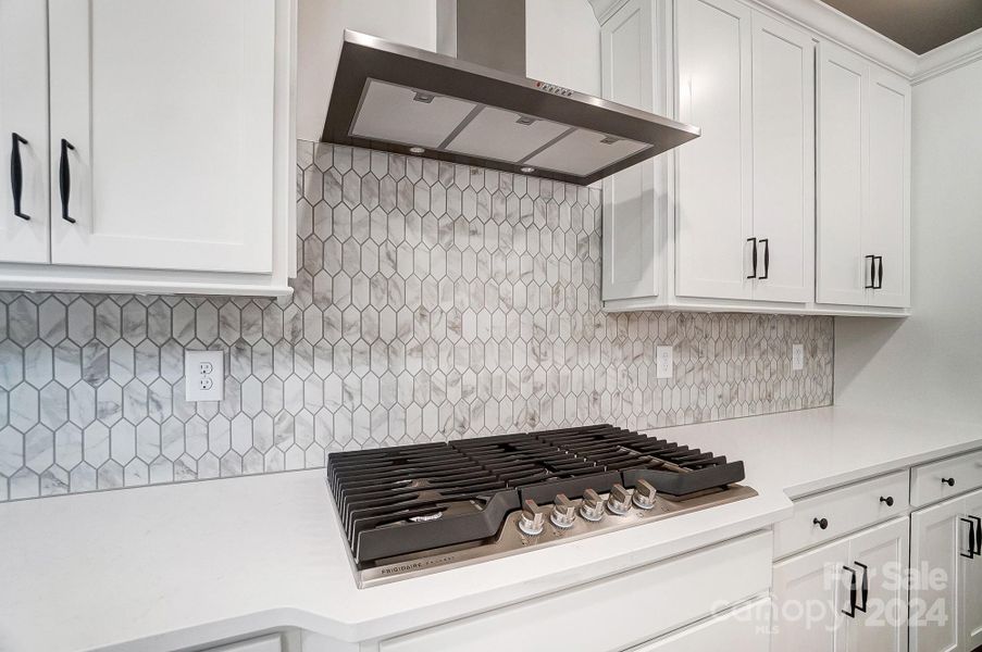 Gas Cooktop with Designer Range Hood