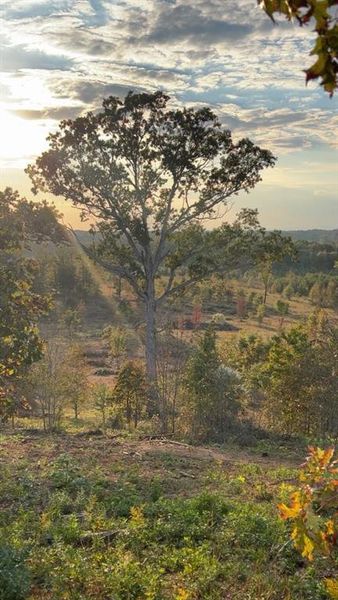 Natural landscape and outdoor views near in Cave Spring (Image 3). Natural landscape and outdoor views near in Cave Spring (Image 3).
