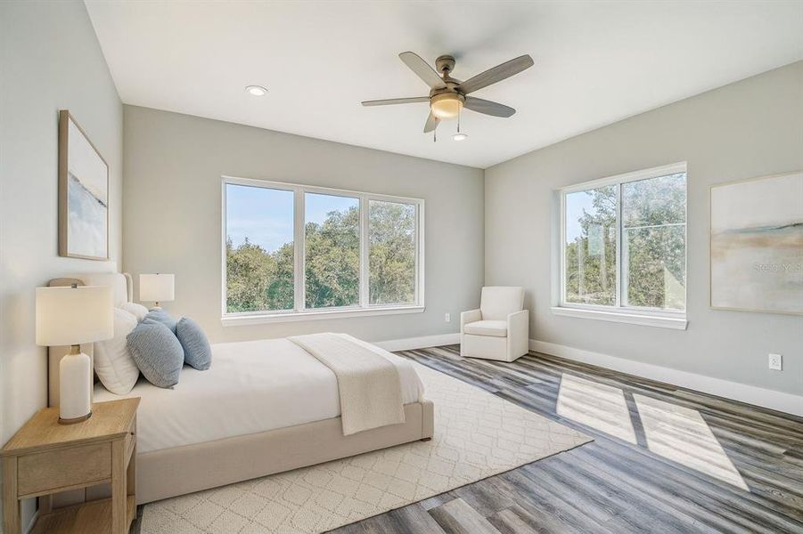 Furnished interior view inside a new home in , Dunedin (Image 6).