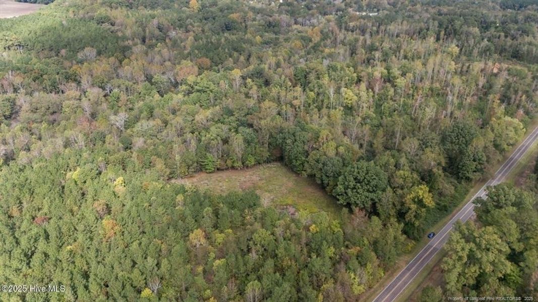 1435 Pineywood Church Road - 9.13 Acres 1435 Pineywood Church Road - 9.13 Acres