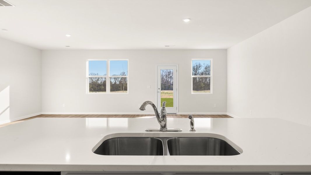 Representative interior finishes for a home built from the Cali by D.R. Horton in Twin Lakes, Hoschton (Image 12).