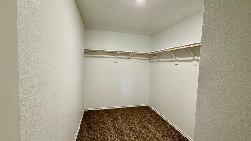 Walk-in closet featuring plush brown carpeting and white walls