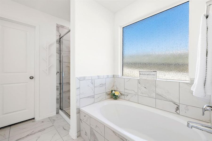 Soaking tub with privacy glass