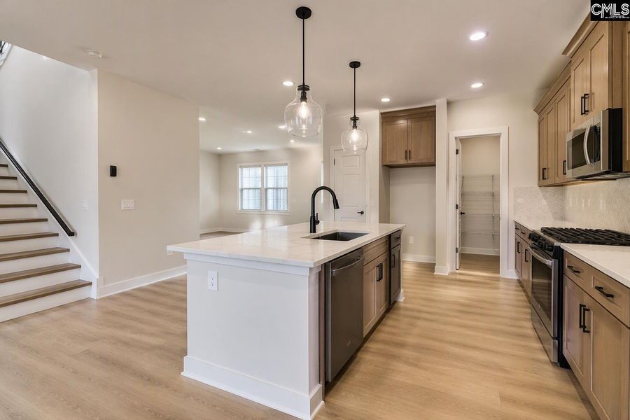 Furnished interior view inside a new home in Boykin Hills, Chapin (Image 9). Furnished interior view inside a new home in Boykin Hills, Chapin (Image 9).