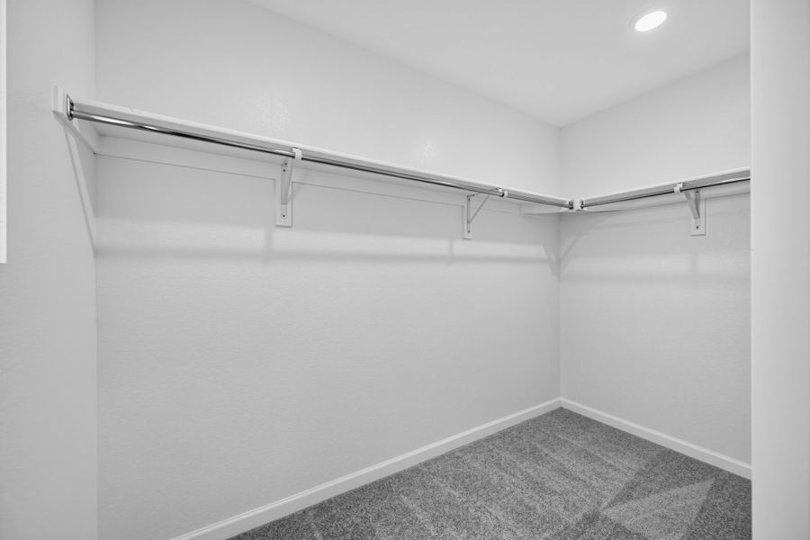 Spacious, unfurnished interior of a new home in Farmlore, Brighton (Image 19).