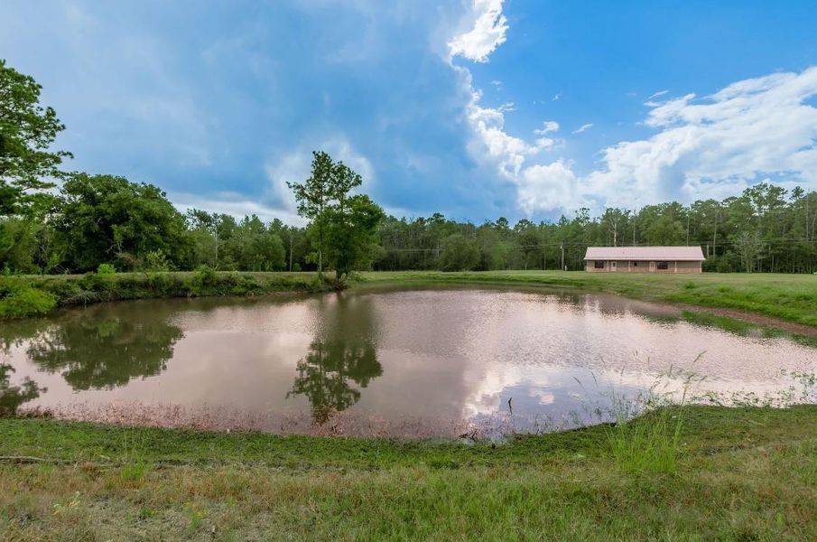 Natural landscape and outdoor views near  in Groveton (Image 32).