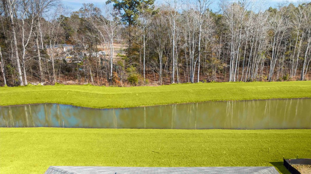 Natural landscape and outdoor views near The Timbers in Harleyville (Image 24). Natural landscape and outdoor views near The Timbers in Harleyville (Image 24).