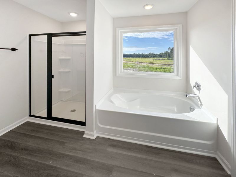 Furnished interior view inside a new home in Tranquil South, Hinesville (Image 9). Furnished interior view inside a new home in Tranquil South, Hinesville (Image 9).