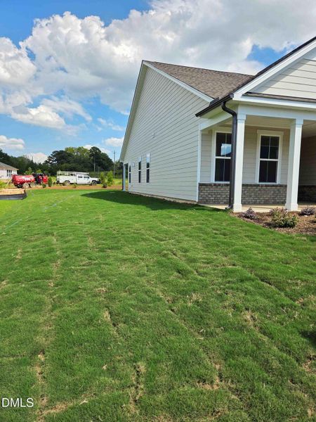 -Side yard -Side yard