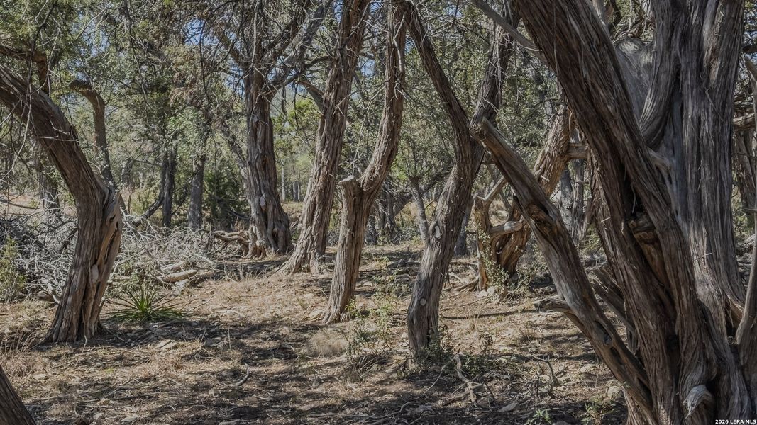 Natural landscape and outdoor views near in Canyon Lake (Image 12). Natural landscape and outdoor views near in Canyon Lake (Image 12).