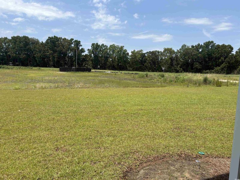 Natural landscape and outdoor views near Briarfield in Conway (Image 13). Natural landscape and outdoor views near Briarfield in Conway (Image 13).