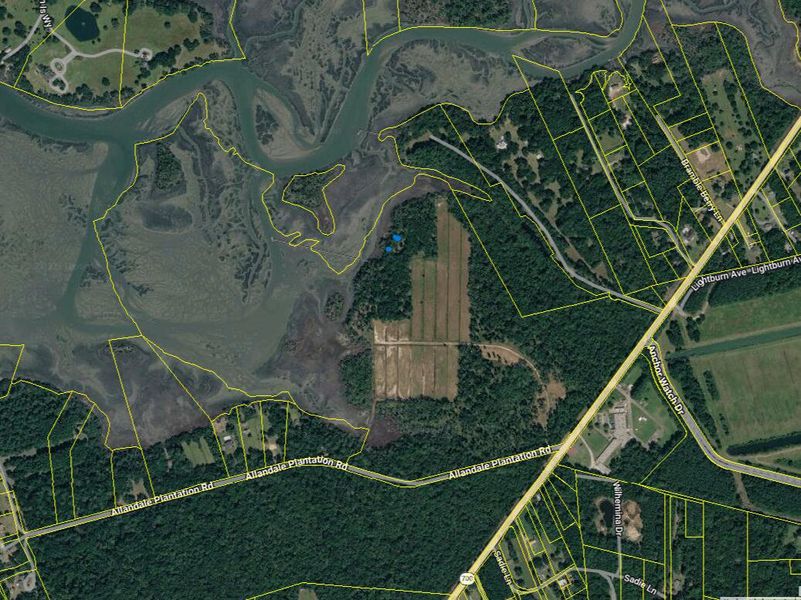 Site preparation for new homesites in , Wadmalaw Island (Image 3).