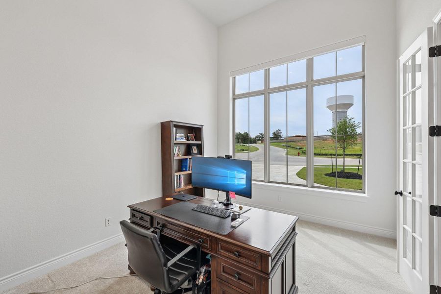 Light-filled room featuring a large multi-pane window, high ceilings, and plush carpet flooring