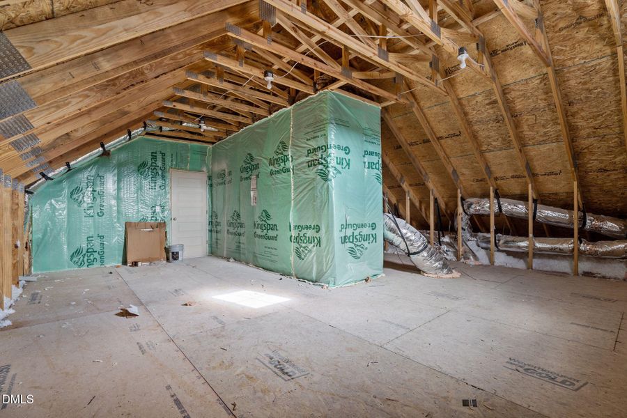 45-web-or-mls-DSC09332