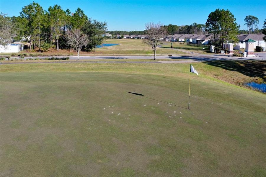 Natural landscape and outdoor views near  in Palm Coast (Image 60).