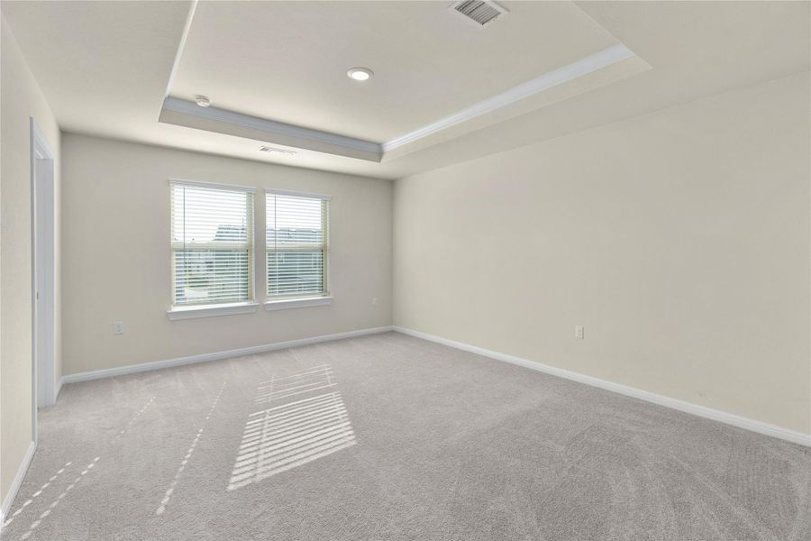 Spare room with a raised ceiling, carpet, and ornamental molding