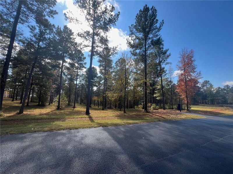 Natural landscape and outdoor views near  in Eatonton (Image 22).
