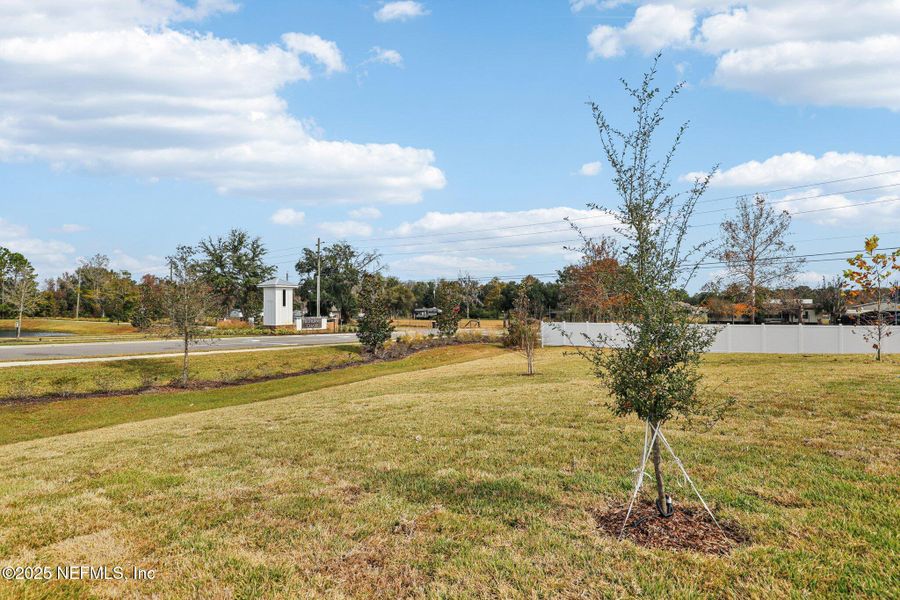 Natural landscape and outdoor views near Cypress Meadows - Signature Series in Jacksonville (Image 38).