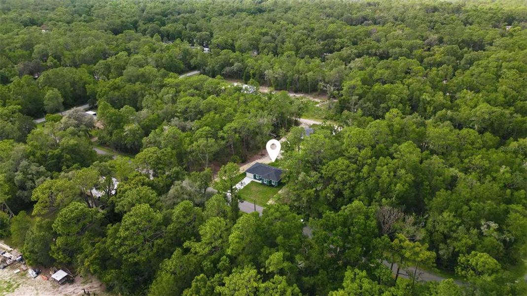 Natural landscape and outdoor views near  in Crystal River (Image 28).